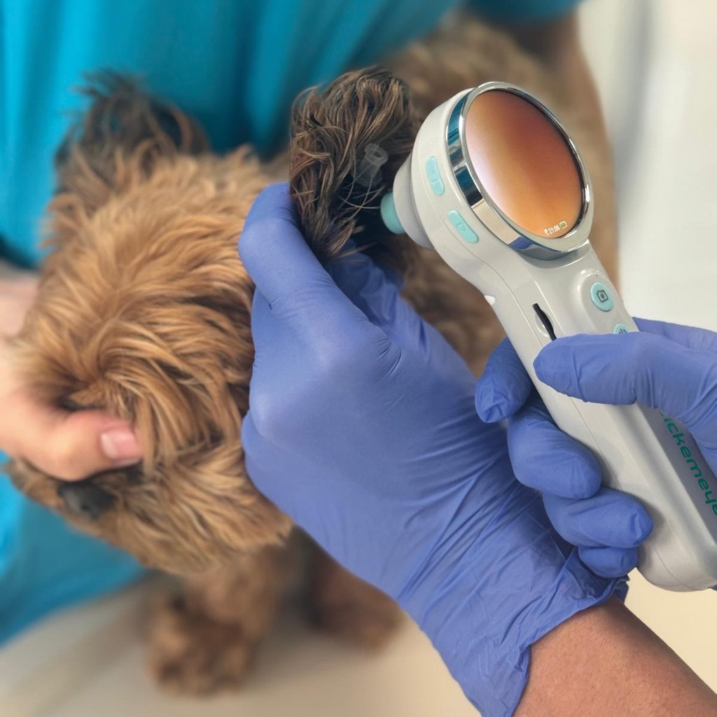 EickView OTO – digitalt video otoskop3